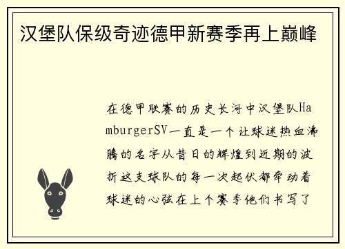 汉堡队保级奇迹德甲新赛季再上巅峰