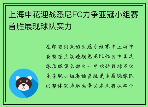 上海申花迎战悉尼FC力争亚冠小组赛首胜展现球队实力